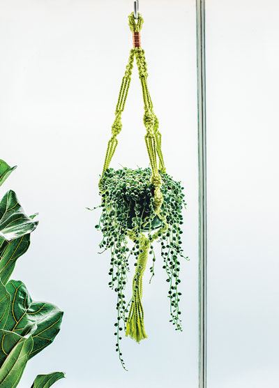 Brighten your windows with a macrame plant hanger. They are easy to make and are the perfect accessory to dress your home.